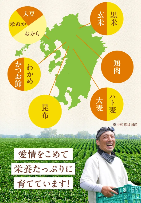 愛情こめて栄養たっぷりに育てています！