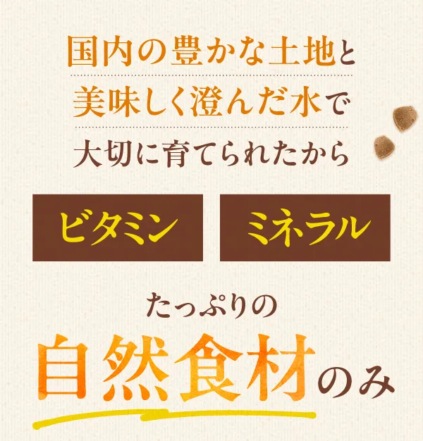 九州の豊かな土地と美味しく澄んだ水で大切に育てられたから、ビタミン・ミネラルたっぷりの自然食材のみ