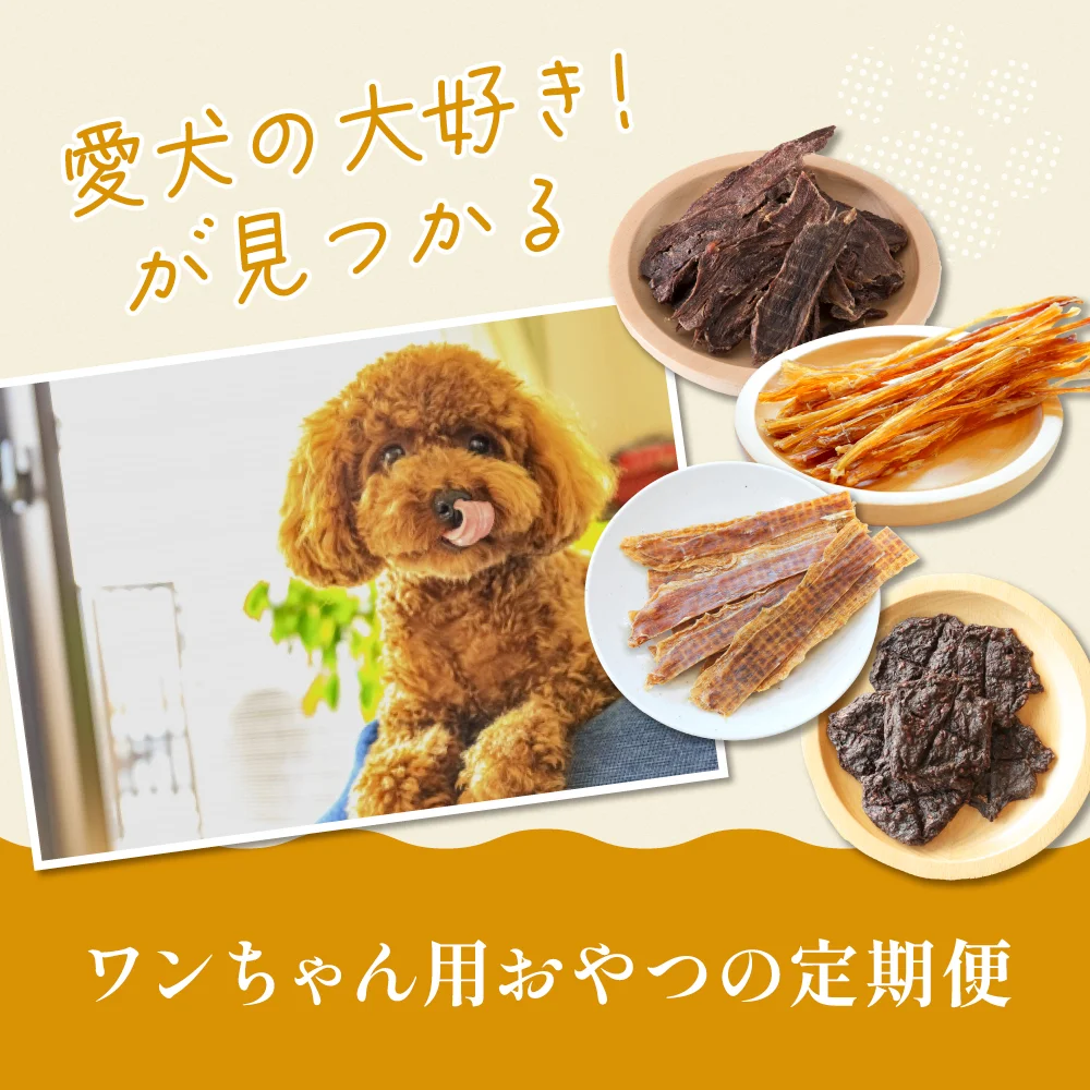 ワンコのすこやかおやつ便【定期】