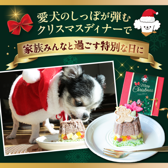 Xmasペアディナーコース