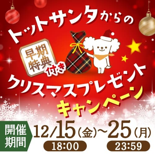 【早期特典付き】 ワンちゃんの枕元に 感動のクリスマスセット