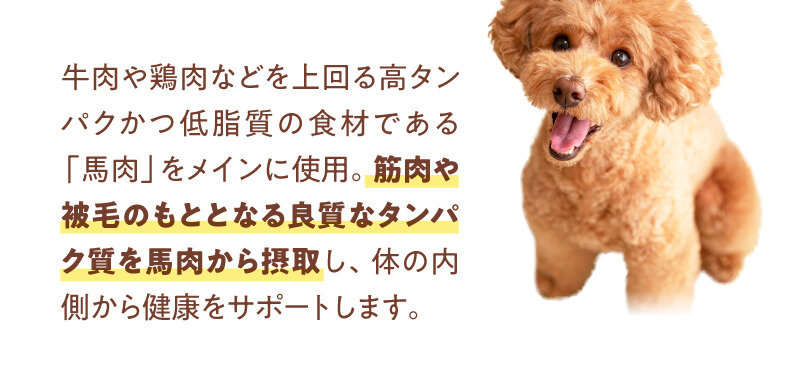 高タンパクかつ低脂質の食材である馬肉をメインに使用