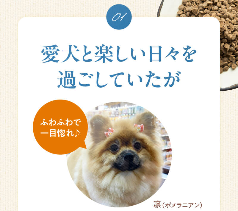 愛犬と楽しい日々を過ごしていたが