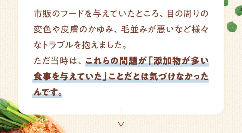 これらの問題が添加物が多い食事を与えていたことだとは気づけなかった