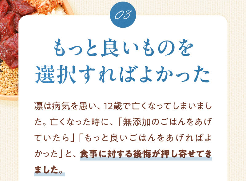 もっと良いものを選択すればよかった