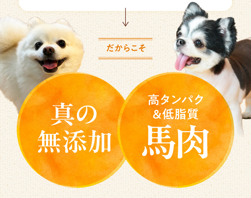 真の無添加×高たんぱく低脂質馬肉