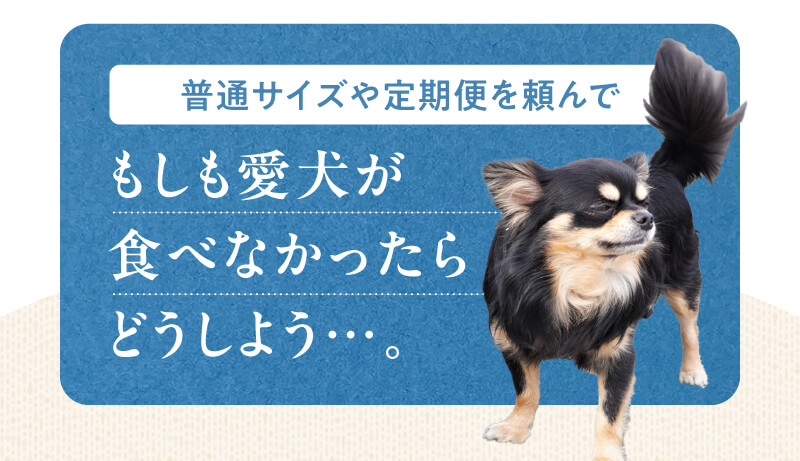 もしも愛犬が食べなかったらどうしよう