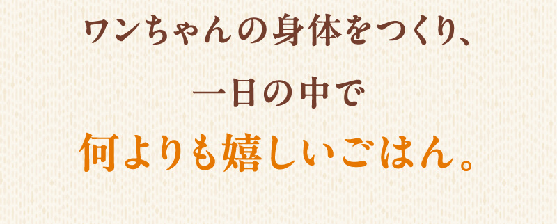 ワンちゃんの身体をつくり、一日の中で何よりも嬉しいごはん