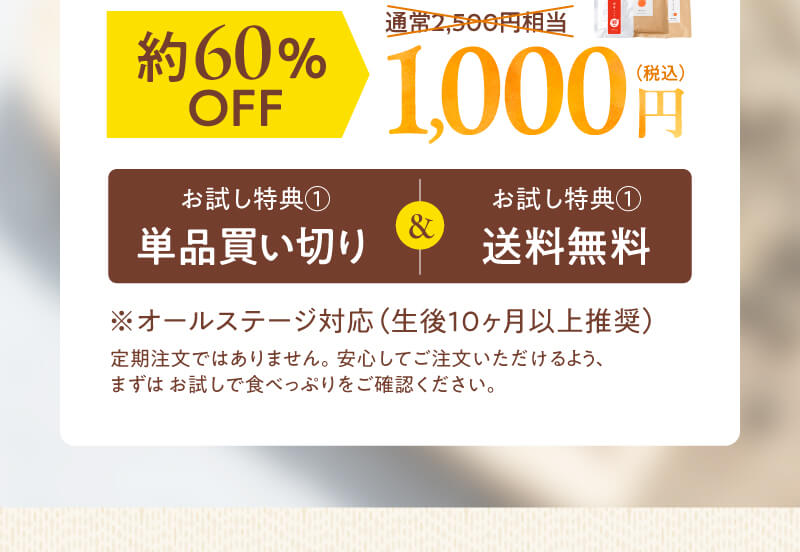 単品買い切り　送料無料