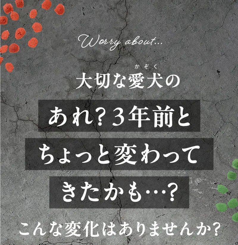 大切な愛犬のあれ？3年前とちょっと変わってきたかも・・・？こんな変化はありませんか？