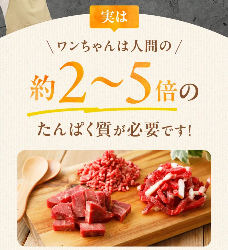 実はワンちゃんは人間の約2～5倍のたんぱく質が必要です