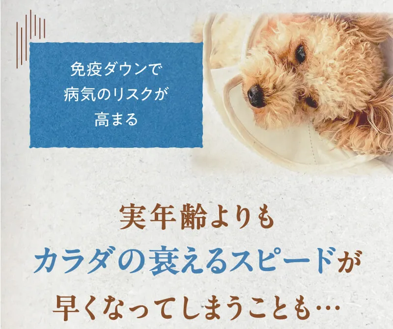 実年齢よりもカラダの衰えるスピードが早くなってしまうことも・・・