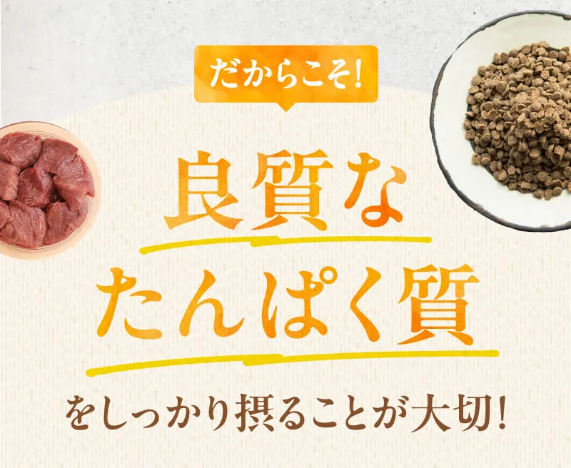 だからこそ！良質なたんぱく質をしっかりとることが大切！