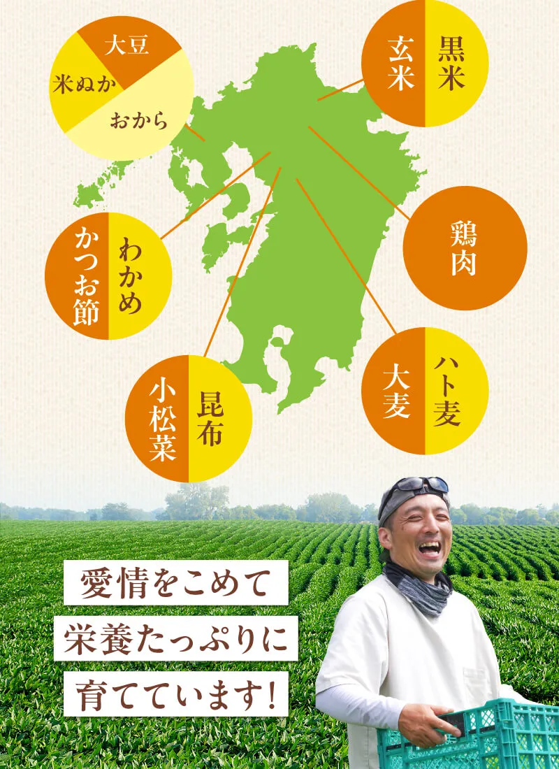 愛情こめて栄養たっぷりに育てています！