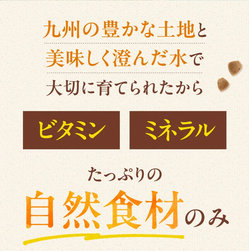 九州の豊かな土地と美味しく澄んだ水で大切に育てられたから、ビタミン・ミネラルたっぷりの自然食材のみ